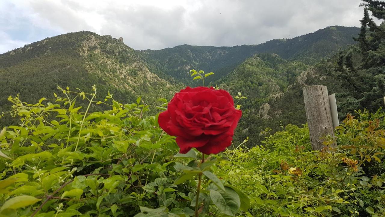 Camping Le P'Tit Bonheur Escaro Buitenkant foto