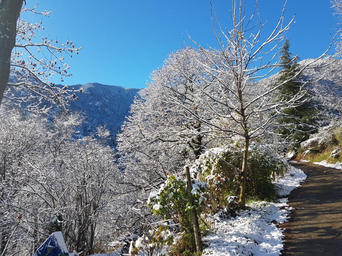 Camping Le P'Tit Bonheur Escaro Buitenkant foto