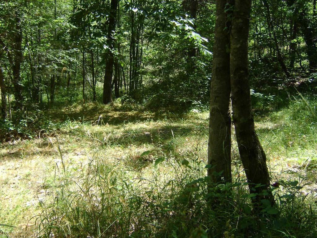 Camping Le P'Tit Bonheur Escaro Buitenkant foto