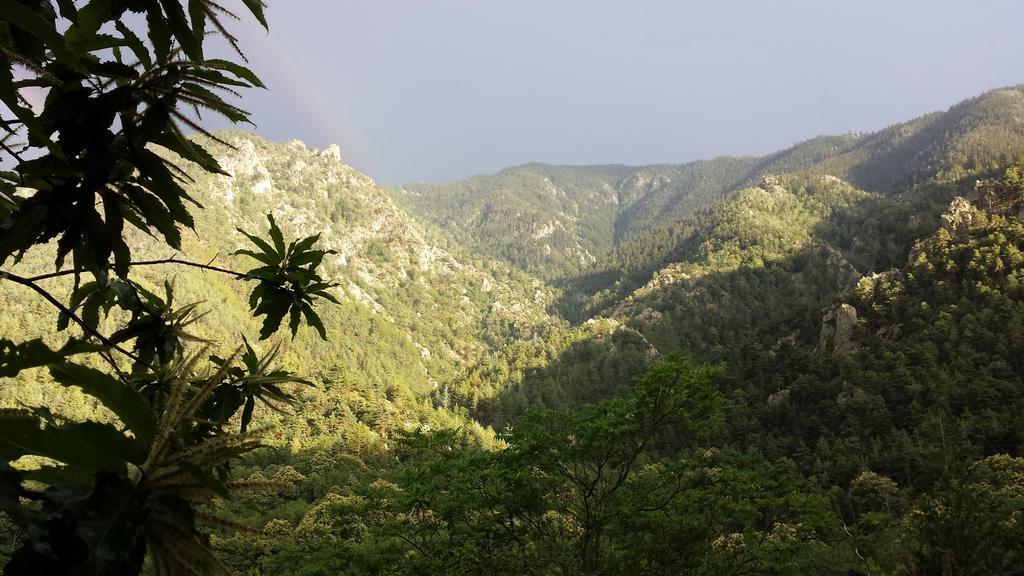 Camping Le P'Tit Bonheur Escaro Buitenkant foto